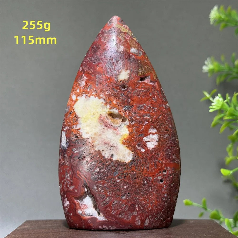 🔮 Spiritual Abacus Natural Mexican Agate Mineral Torch
Free-Form Energy Specimen – For Meditation, Witchcraft & Sacred Space Décor