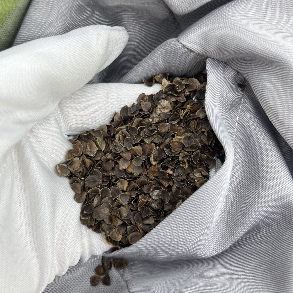 Spiritual Abacus™ Buckwheat Hull Yoga Meditation Cushion