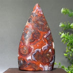 🔮 Spiritual Abacus Mexican Agate Free-Form Torch Specimen